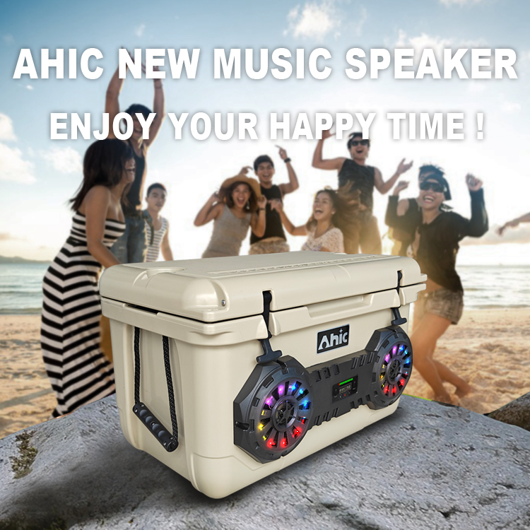 45L Tragbare Rotationsgeformte – Music Bewertung und Preis