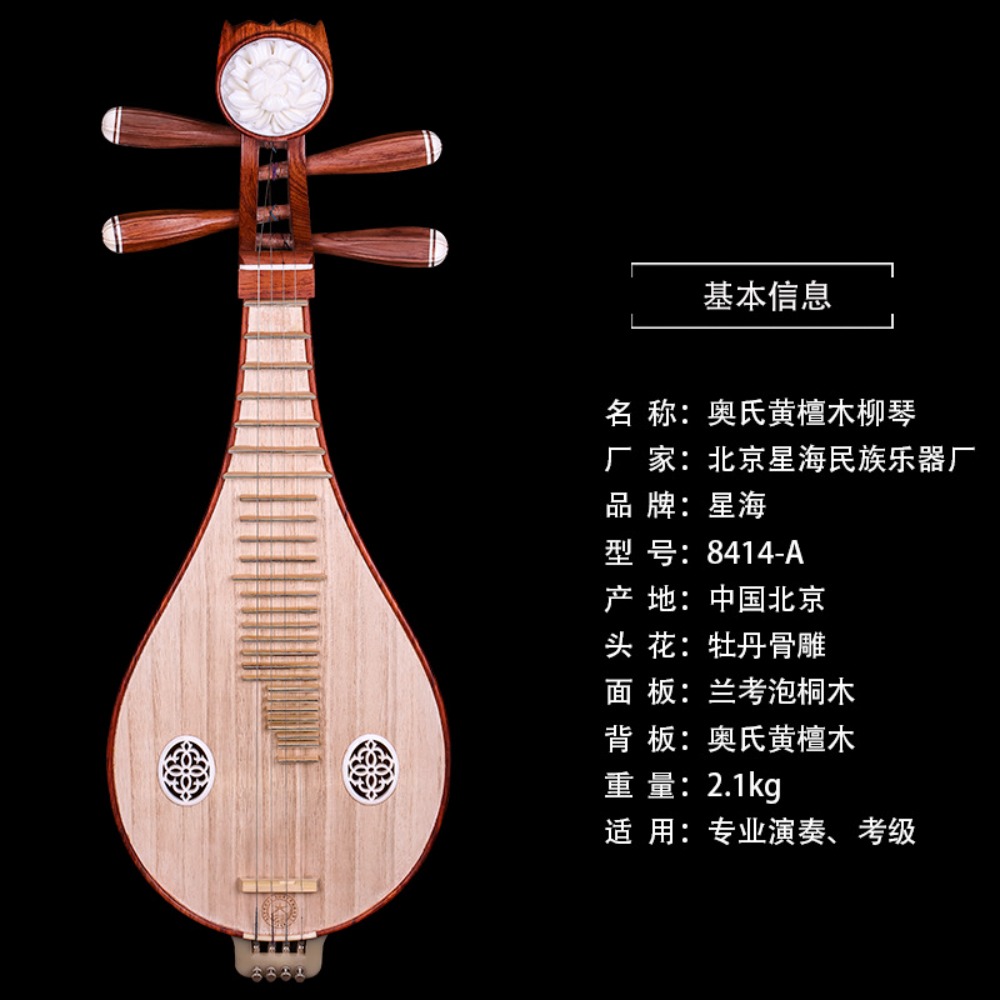 Beijing Xinghai 8414-A Palisan – Music Bewertung und Preis