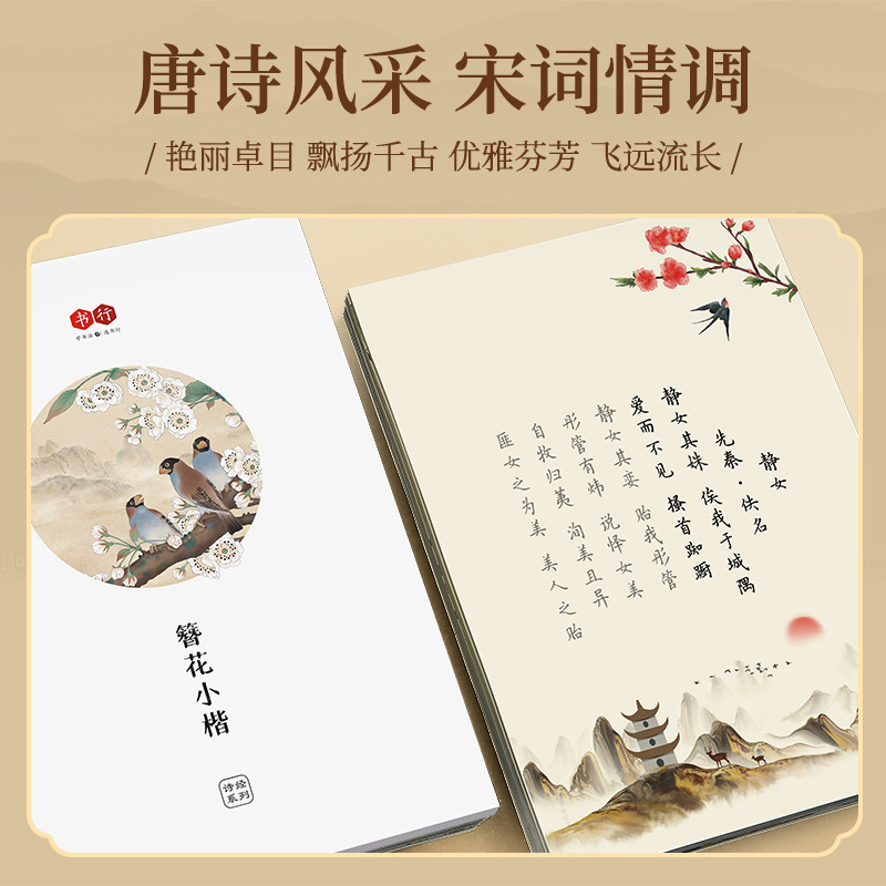 Haarnadelblumen-Kalligrafie-Üb – Chinese Calligraphy Practice Book Bewertung und Preis