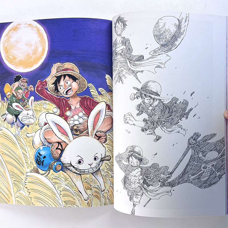 One Piece Illustrationsbuch Co – Stationery Books Bewertung und Preis