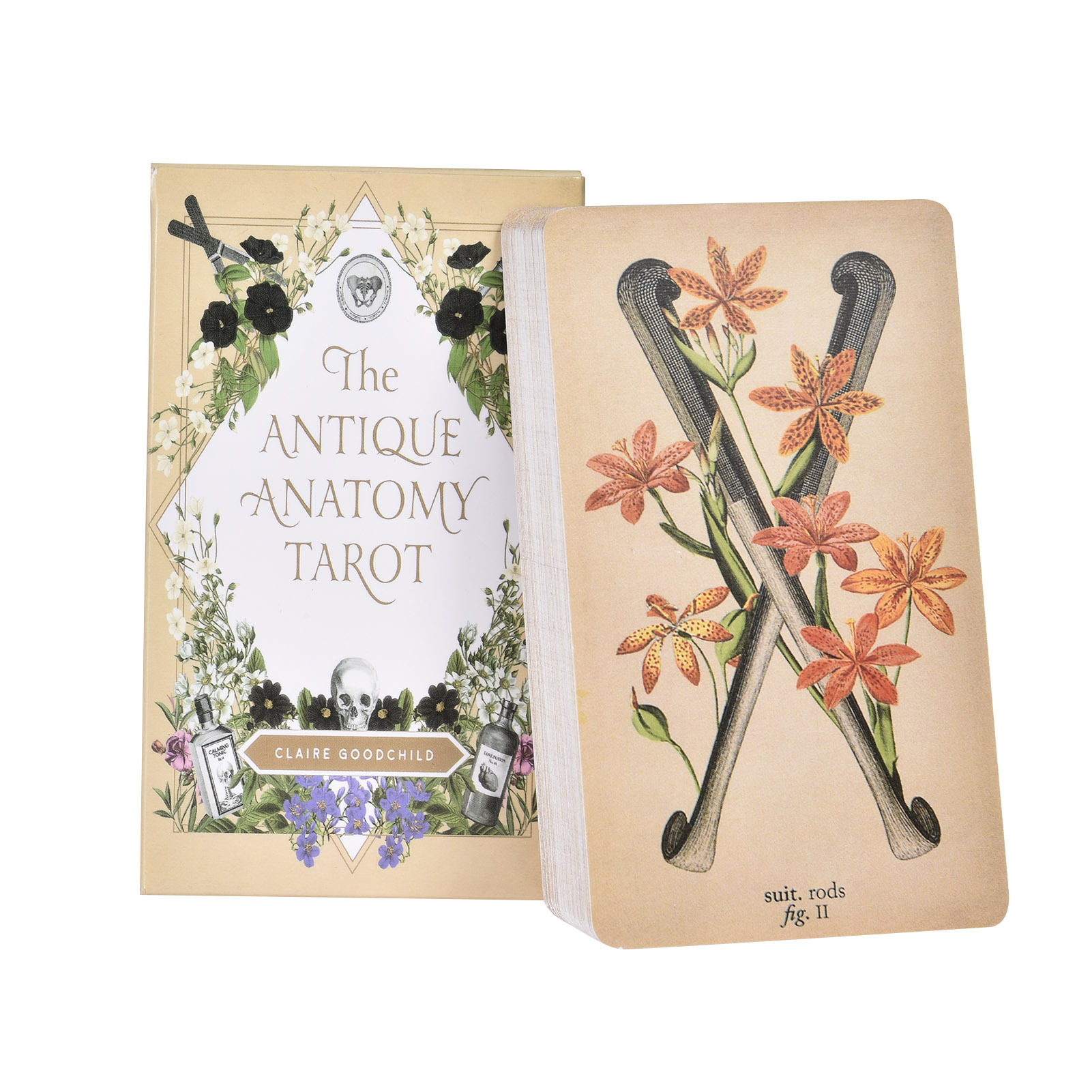 Die Antike Anatomie Tarotkarte – Tarot Deck With Guidebook Bewertung und Preis