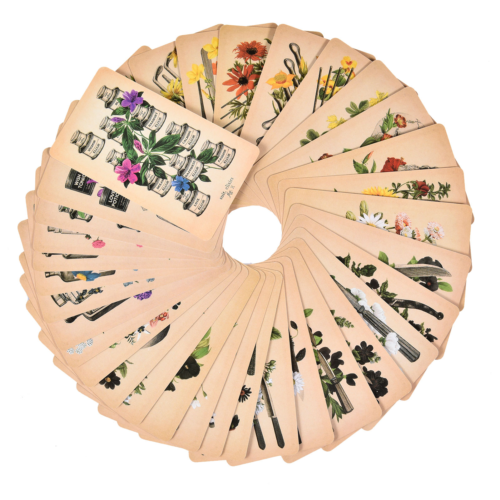 Die Antike Anatomie Tarotkarte – Tarot Deck With Guidebook Bewertung und Preis